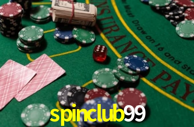 Premium Interface spinclub99