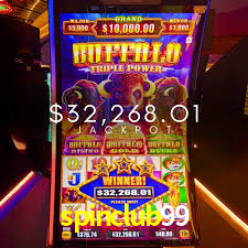 Crash Games Statistics spinclub99